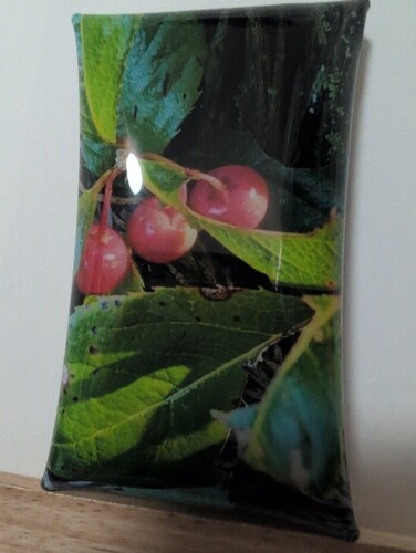 ミニクリアポーチ（きのみデザイン）